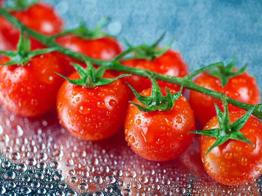 Помидорки - помидор, капли, томат - оригинал