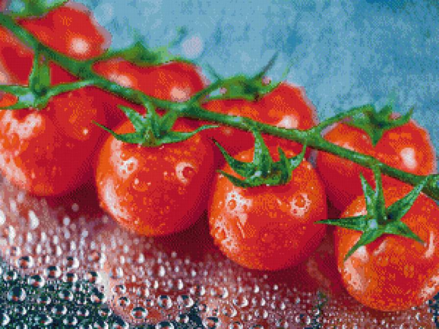 Помидорки - томат, помидор, капли - предпросмотр
