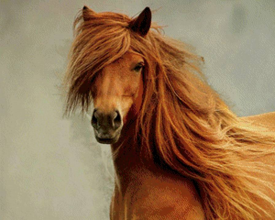 Cерия"Прекрасные создания" - лошадь - предпросмотр