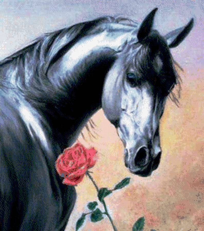 «Вороной с розой» - предпросмотр