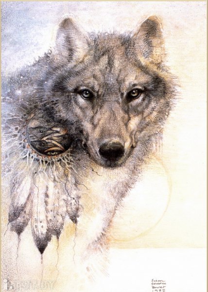 волки - природа, волк, животное - оригинал
