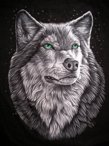 волки - волк, животное, природа - оригинал