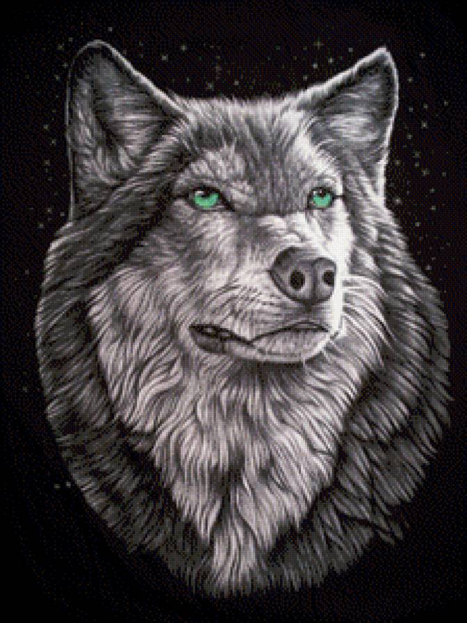 волки - животное, природа, волк - предпросмотр