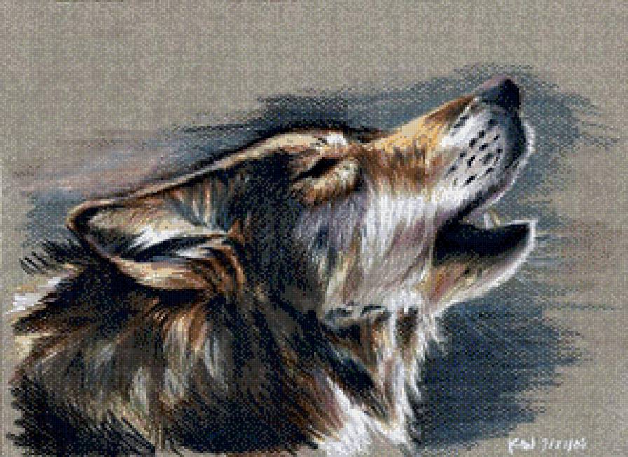 волки - животное, волк, природа - предпросмотр