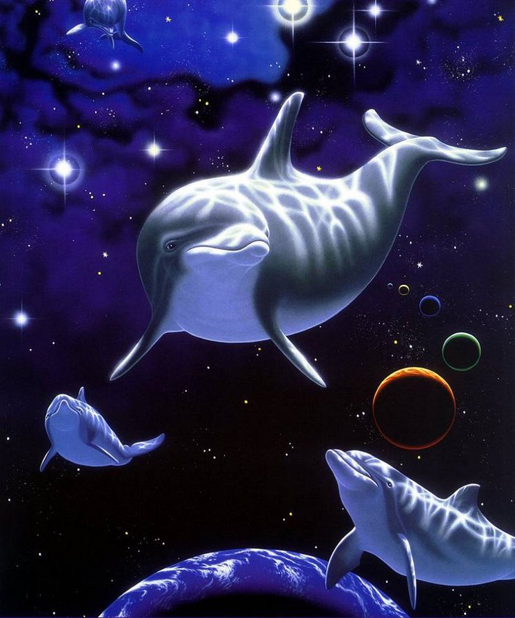 дельфины 2 - оригинал