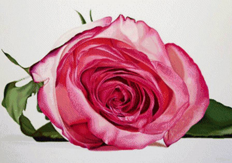 №806911 - предпросмотр