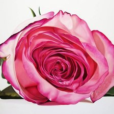 Схема вышивки «№806911»