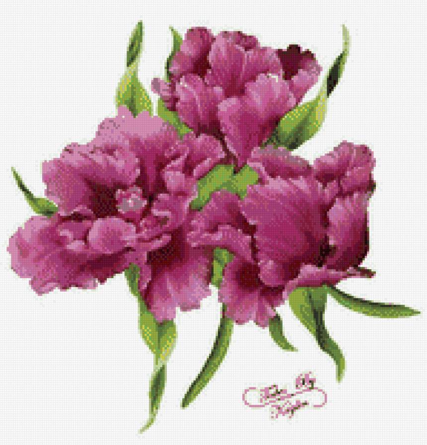 №806942 - предпросмотр