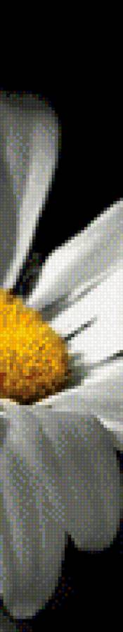 ромашенция - полиптих - предпросмотр