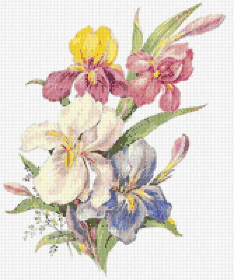 №806971 - предпросмотр