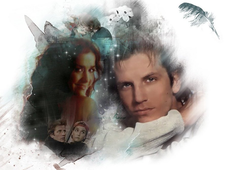 Дикий ангел - оригинал