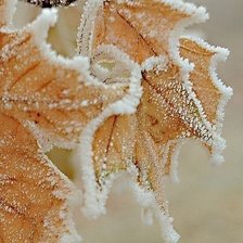 Схема вышивки «иней»