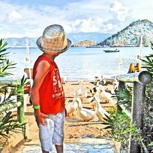 гуси прилетели