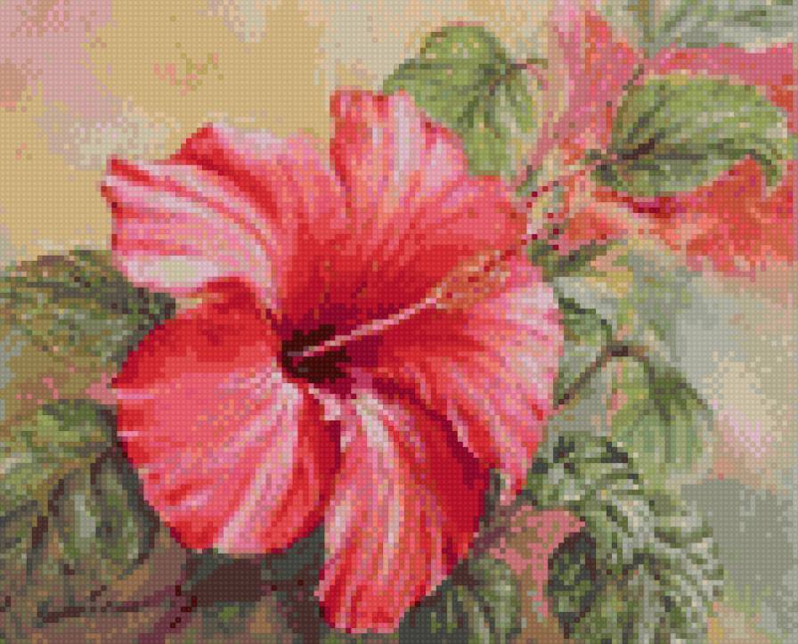 Гибискус - предпросмотр