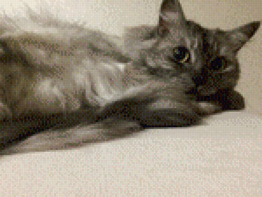 Киса Капелька - предпросмотр