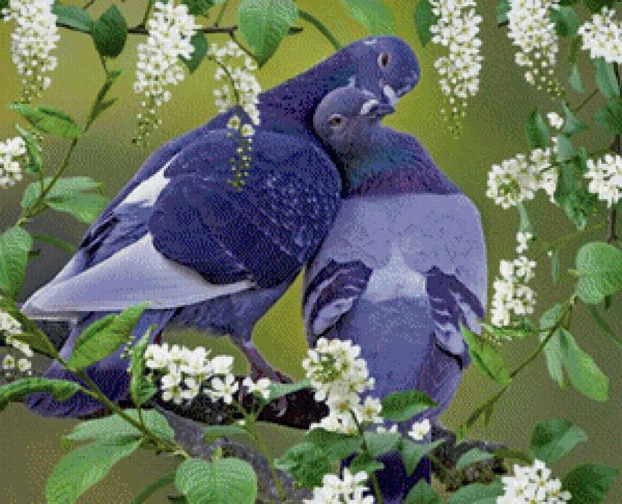 Гуля - предпросмотр