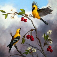 Схема вышивки «перед грозой»