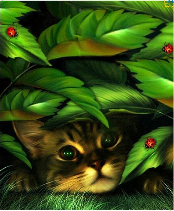 №808066 - оригинал