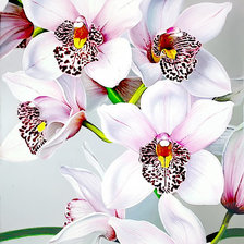 Оригинал схемы вышивки «Орхидея» (№808250)