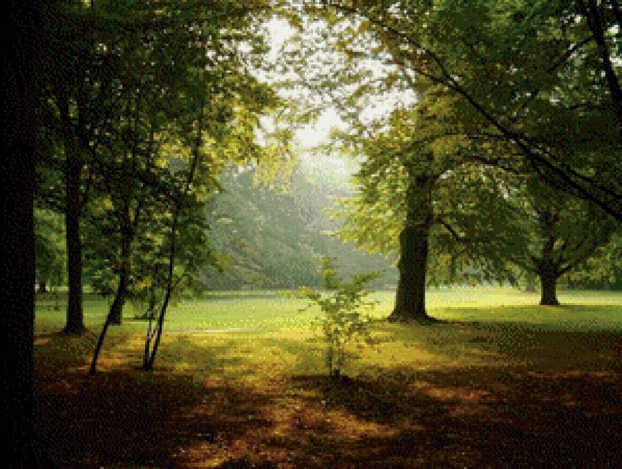 роща - предпросмотр