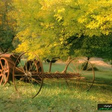 Схема вышивки «№808433»