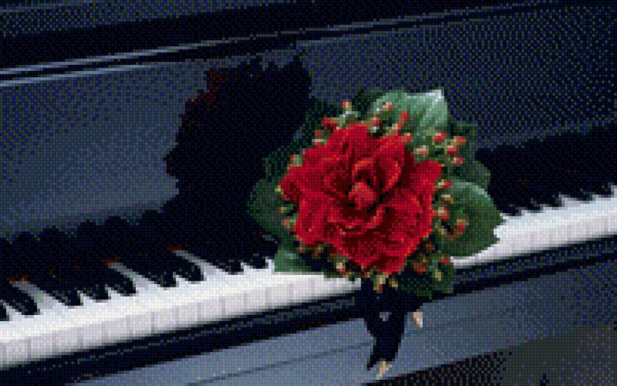 Цветок на рояле - цветы - предпросмотр