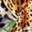 Предпросмотр схемы вышивки «леопард» (№808931)