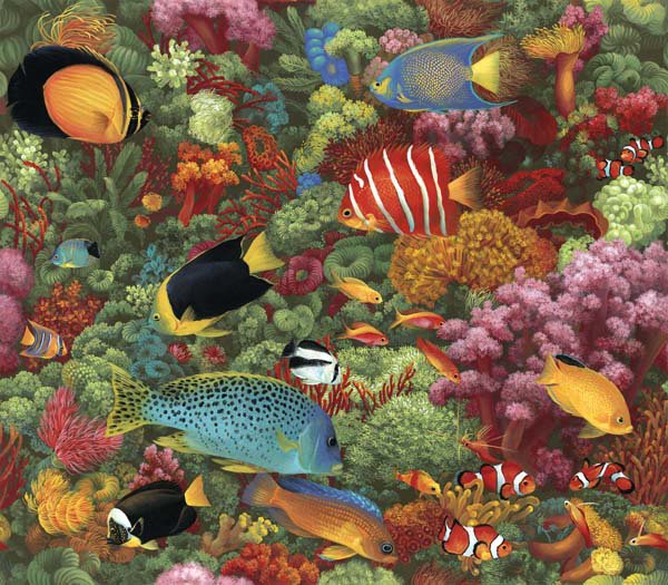 arrecife - оригинал