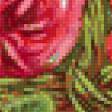 Предпросмотр схемы вышивки «rose» (№808962)