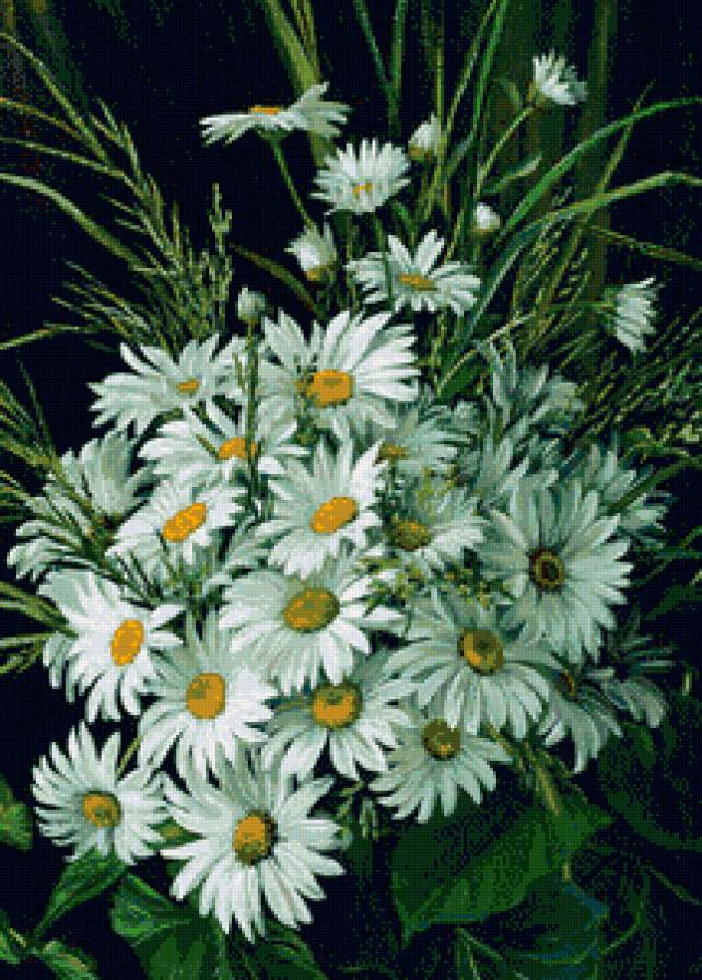 ромашки - картина, цветы - предпросмотр