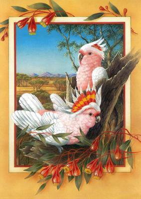 cacatuas rosas - оригинал