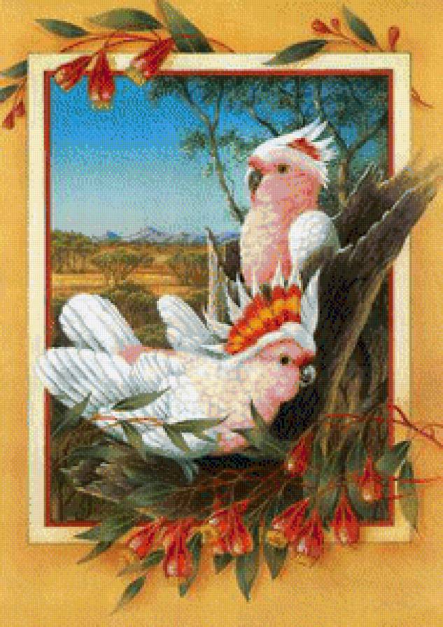 cacatuas rosas - предпросмотр