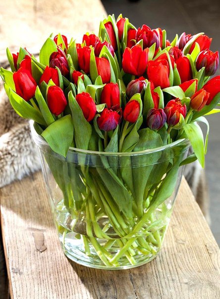 №809193 - цветы, тюльпаны, букет - оригинал