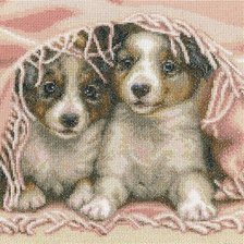 Схема вышивки «№809198»