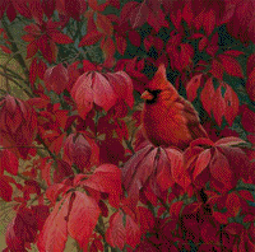 cardinal en arbol de hojas rojas - предпросмотр