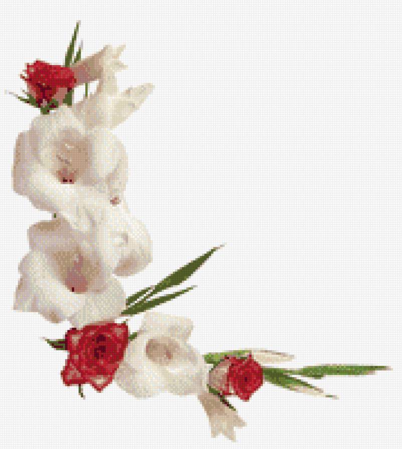 cenefa gladiolos y rosas - предпросмотр