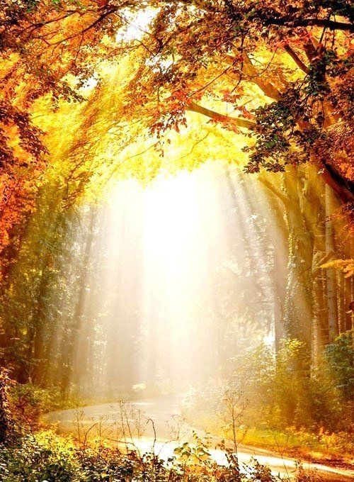 Природа - природа, пейзаж - оригинал