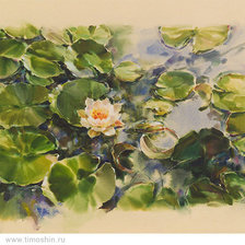 Схема вышивки «№809715»