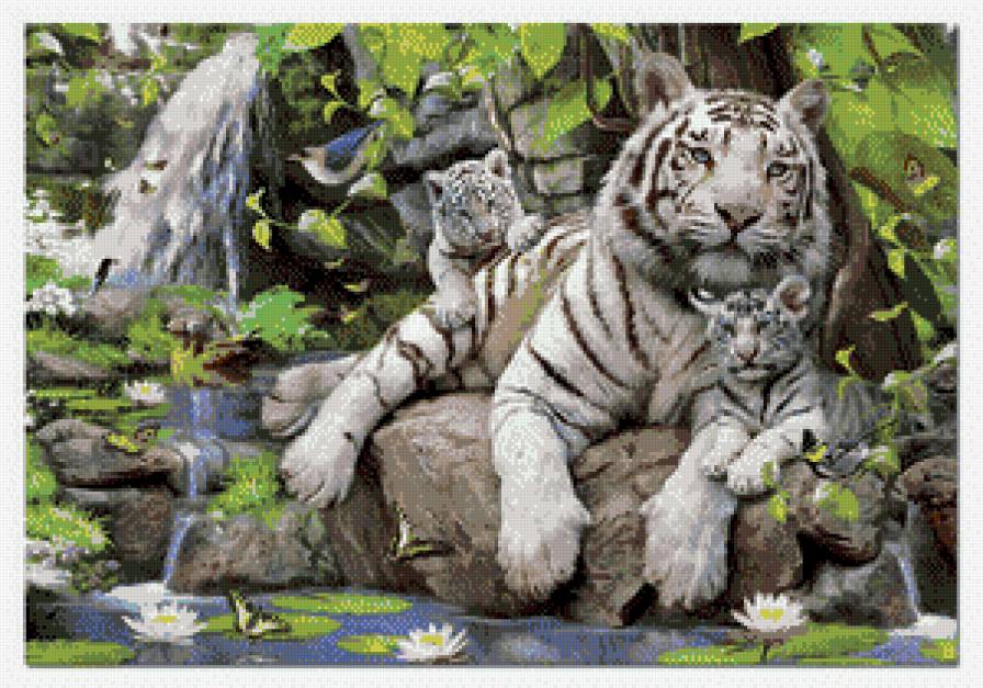 животные - тигры - предпросмотр