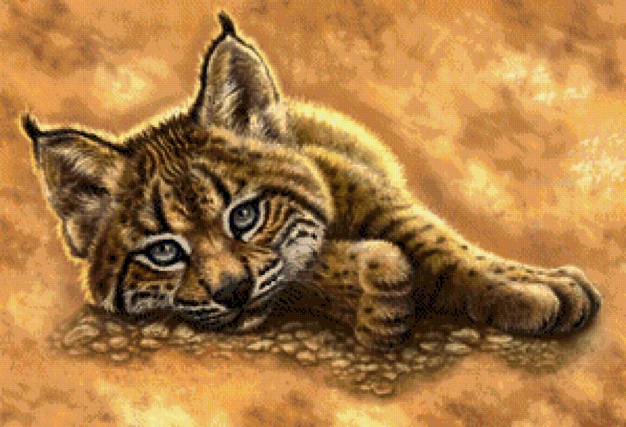 №809854 - предпросмотр