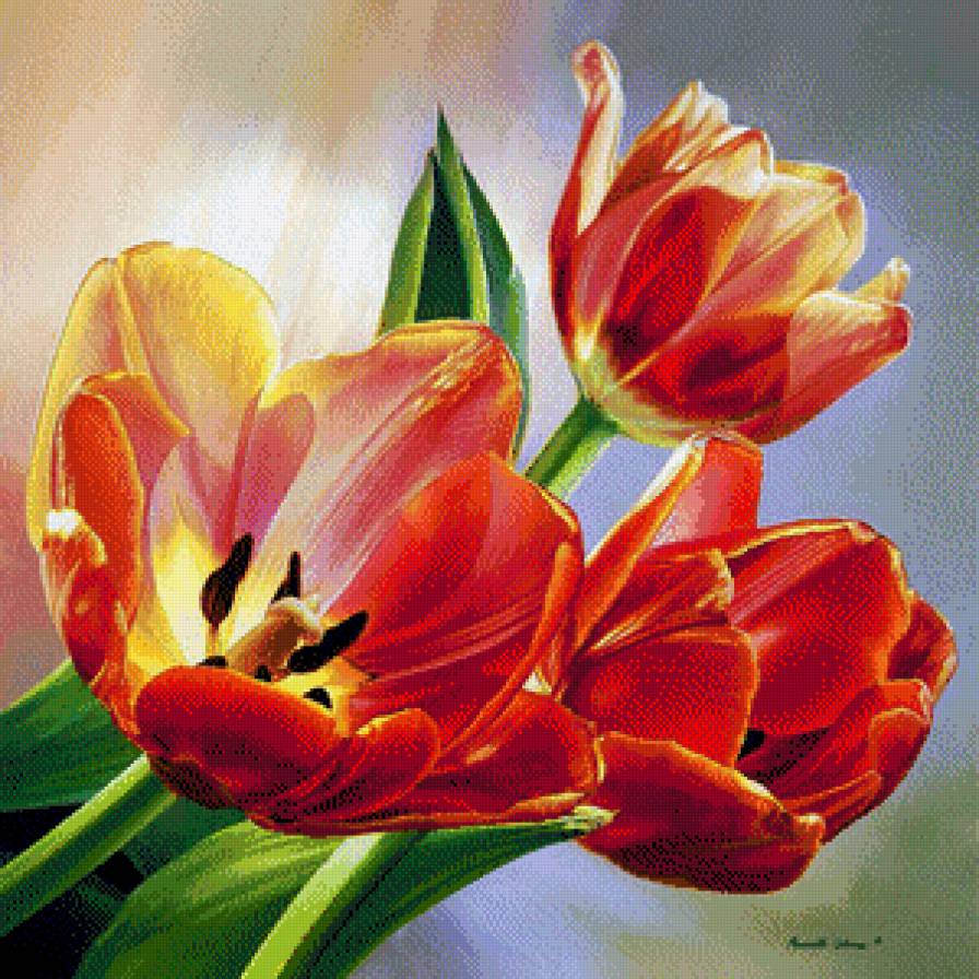 flores rojas - предпросмотр