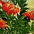 Предпросмотр схемы вышивки «FLORES-HOLLY» (№809900)