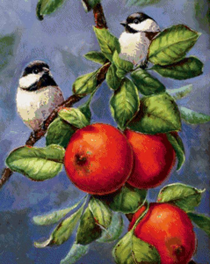 птички невелички - птицы, фрукты - предпросмотр