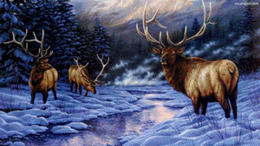 Біля струмка - зима, олень, гори, струмок, ліс - предпросмотр