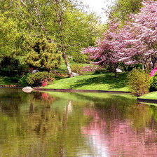 Схема вышивки «сакура»