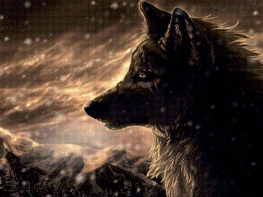 волк - предпросмотр