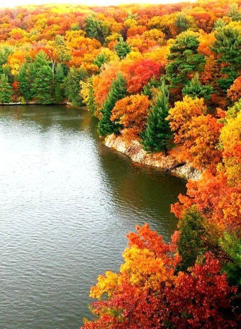 Красота осени - пейзаж, природа, осень - оригинал