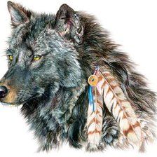 Оригинал схемы вышивки «волк» (№810498)