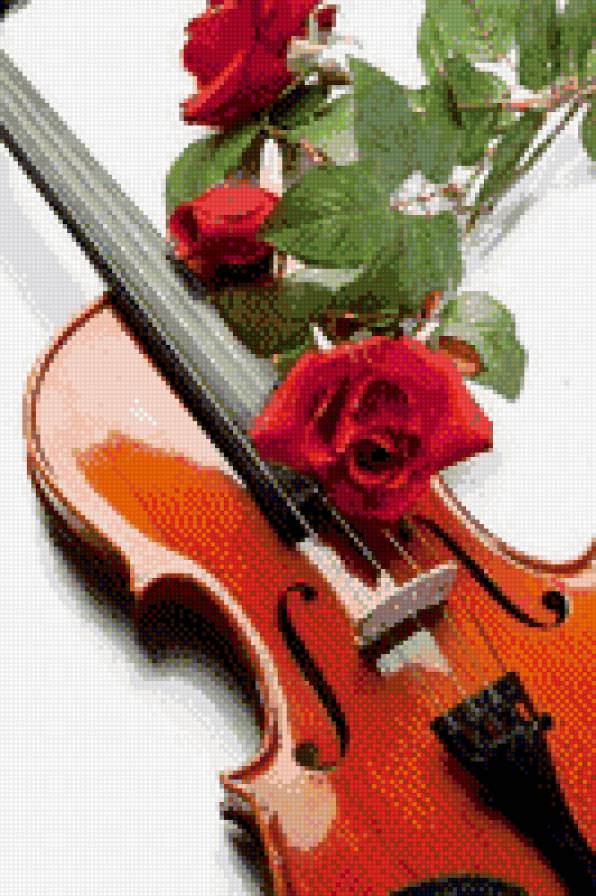 №810615 - цветы, скрипка, розы, ноты - предпросмотр