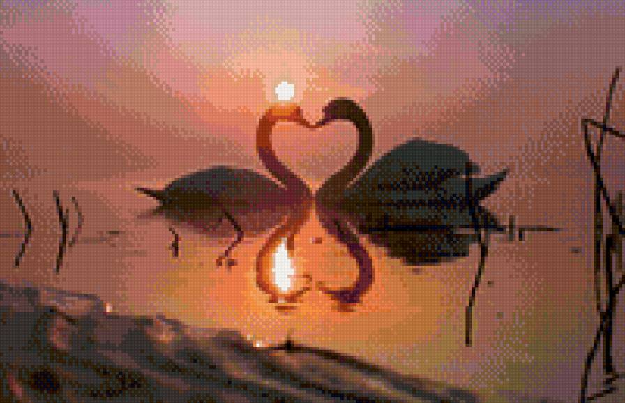 №810671 - лебеди, любовь, птицы - предпросмотр